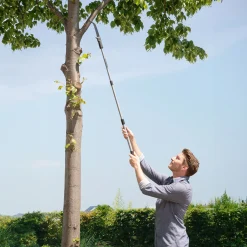Astsäge mit Teleskopstiel