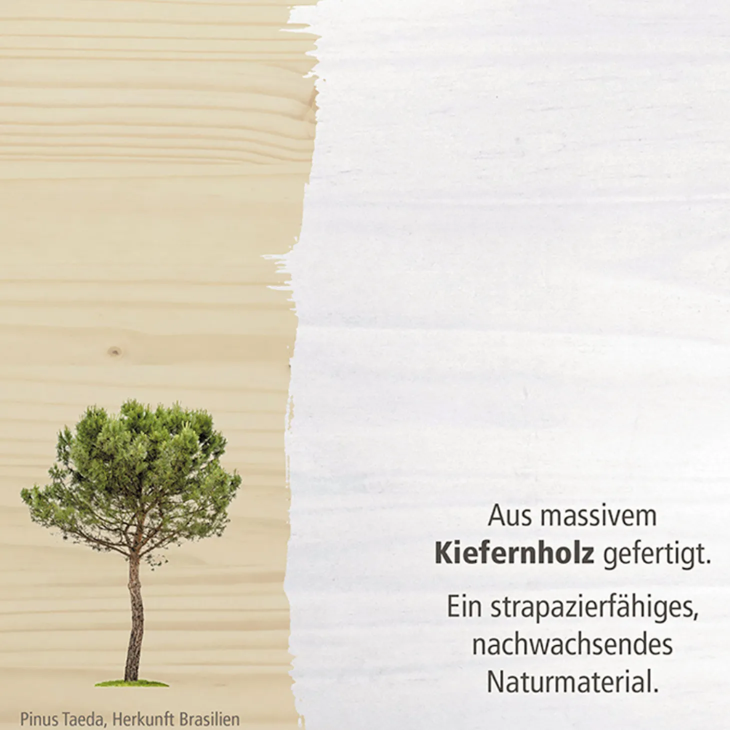Ausziehbett Paulino aus Massivholz