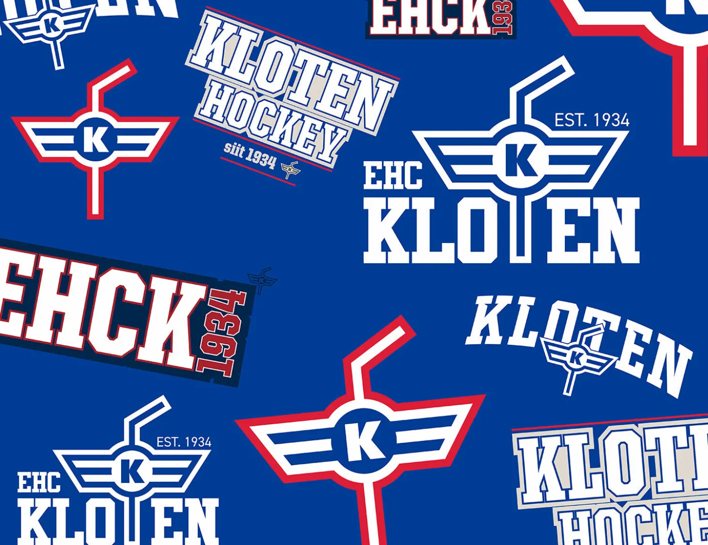 Bettwäsche EHC Kloten blau-weiss