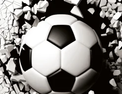 Bettwäsche mit Fussball in 3D Optik
