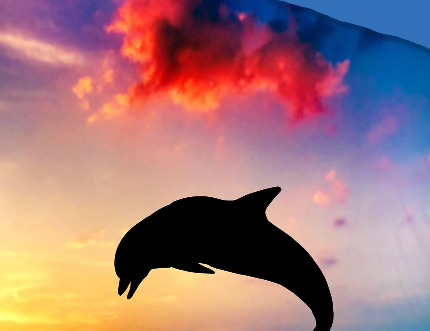 Bettwäsche mit springendem Delfin und Sonnenuntergang