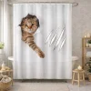 Duschvorhang Katze braun-weiss