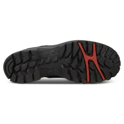 ECCO Damen Trekking – und Wanderschuh XPEDITION III Low Cut