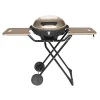 Elektro-Grill mit antihaftbeschichteter Grillplatte