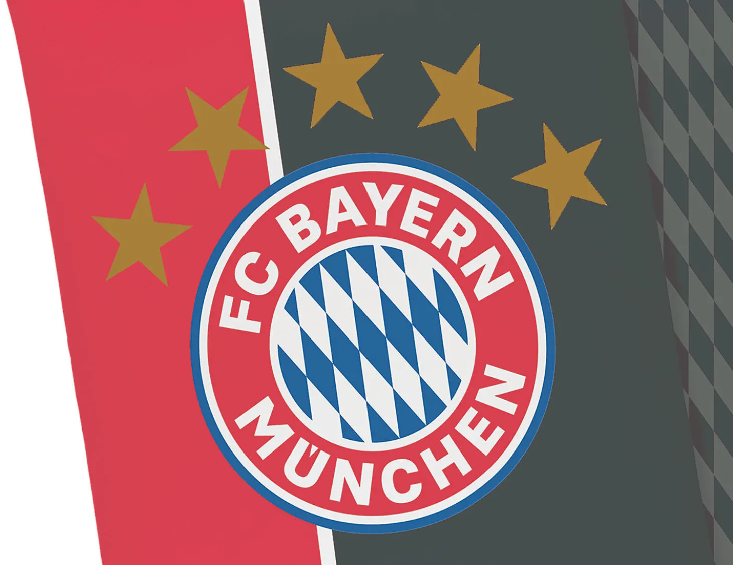 FC Bayern Bettwäsche Mia San Mia