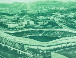 FC St. Gallen Bettwäsche