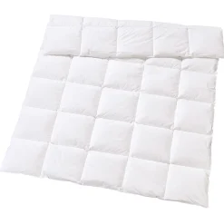 Ganzjahresduvet Swiss Edition 90 Medium