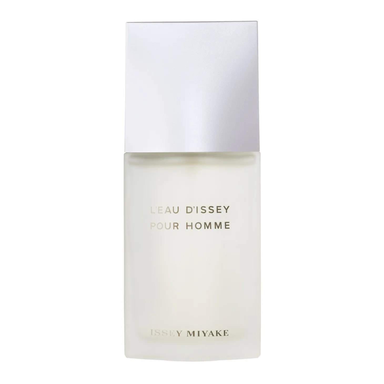 Issey Miyake L'Eau d'Issey pour Homme, Eau de Toilette, 75 ml