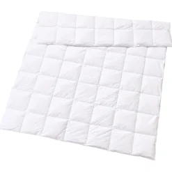 Leichtduvet Swiss Edition 90 light