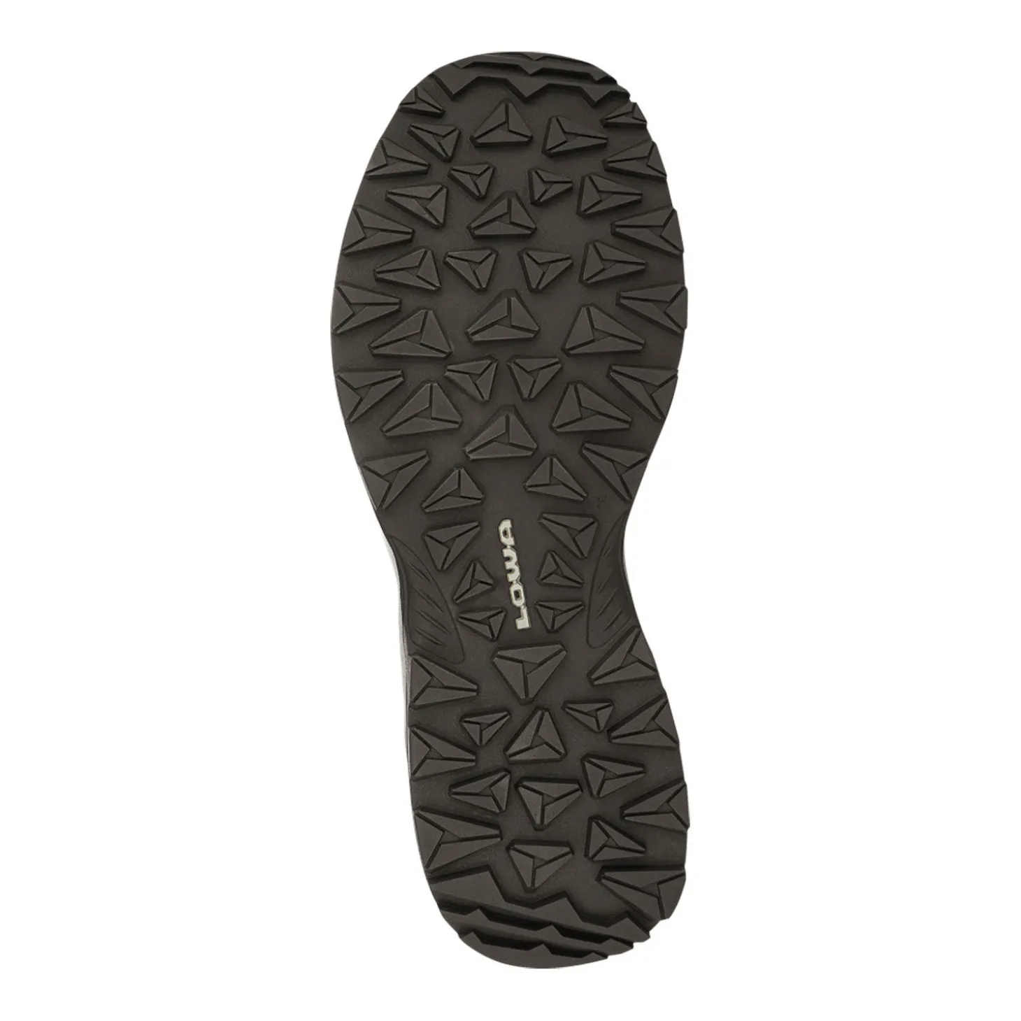 Nordic-Walking- und Wanderschuh Innox Pro Mid Cut GTX für Herren