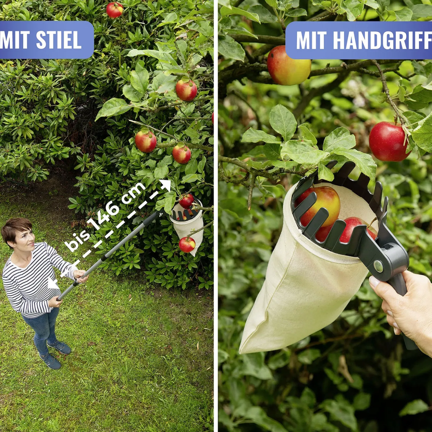 Obstsammler 2in1 mit Teleskopstiel