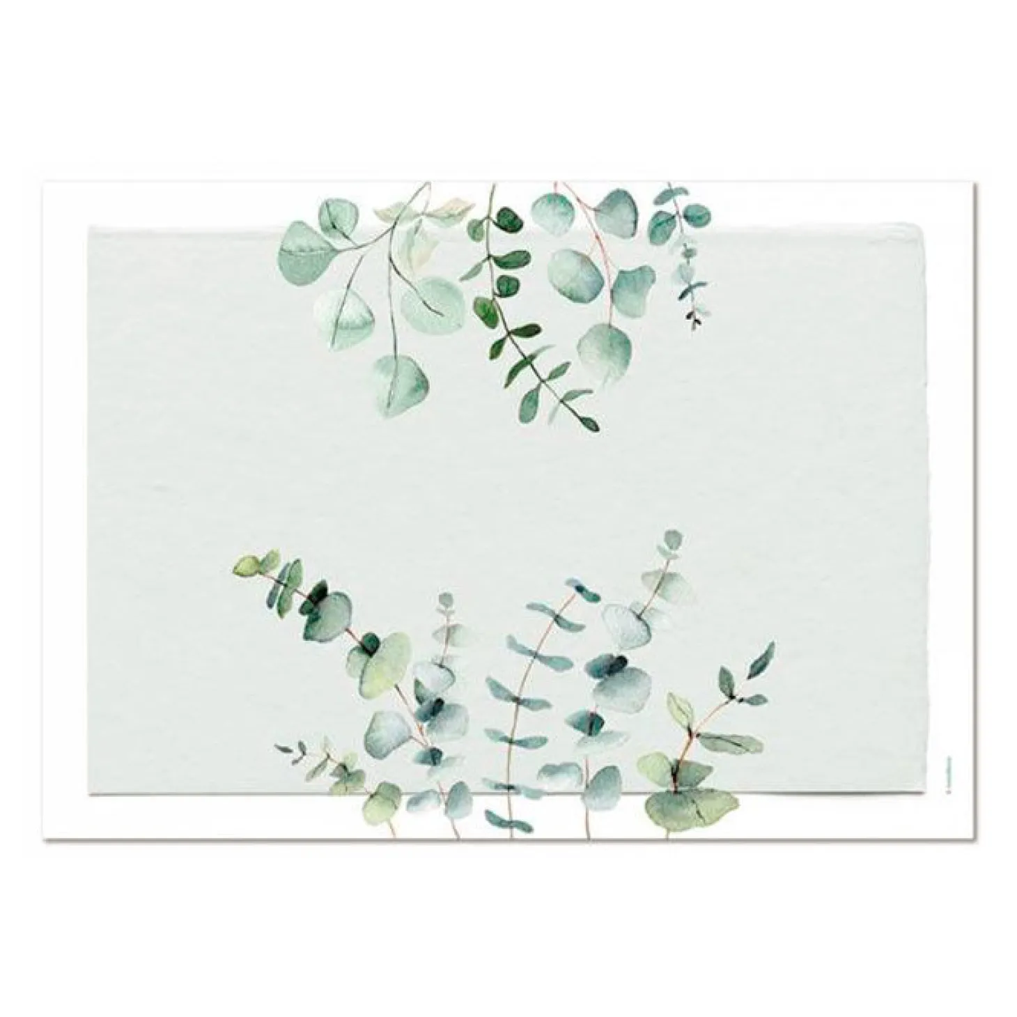 Papiertischset Eucalyptus