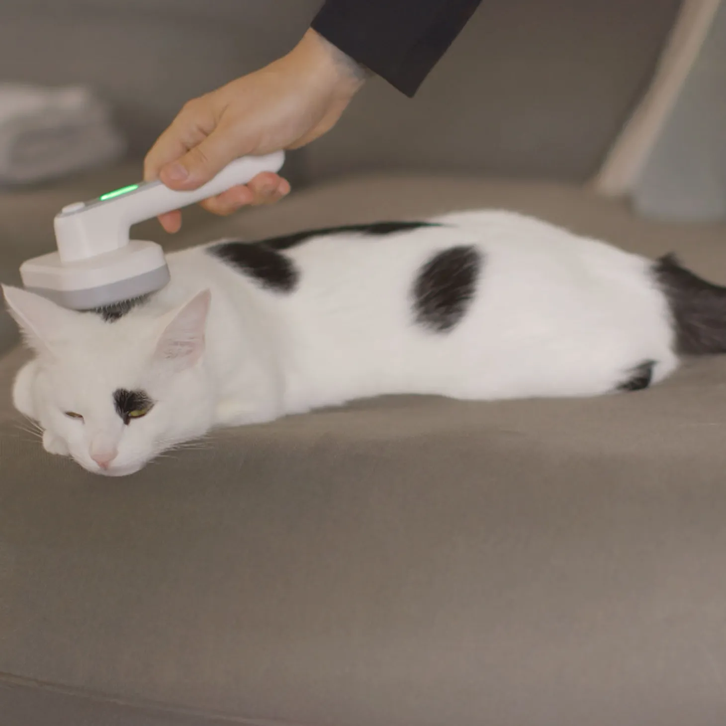 PiddiPet Tierhaarbürste IonBrush