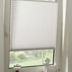 Plissee Concept