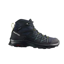 Salomon Daintree Mid GTX Outdoorschuh für Herren