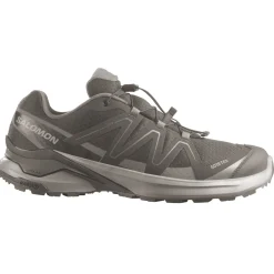 Salomon Examotion Low GTX Multifunktionsschuh