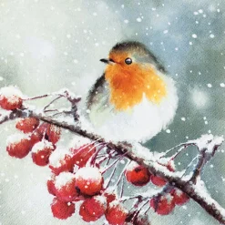 Servietten Hello Robin
