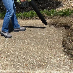 Starlyf Power Blower