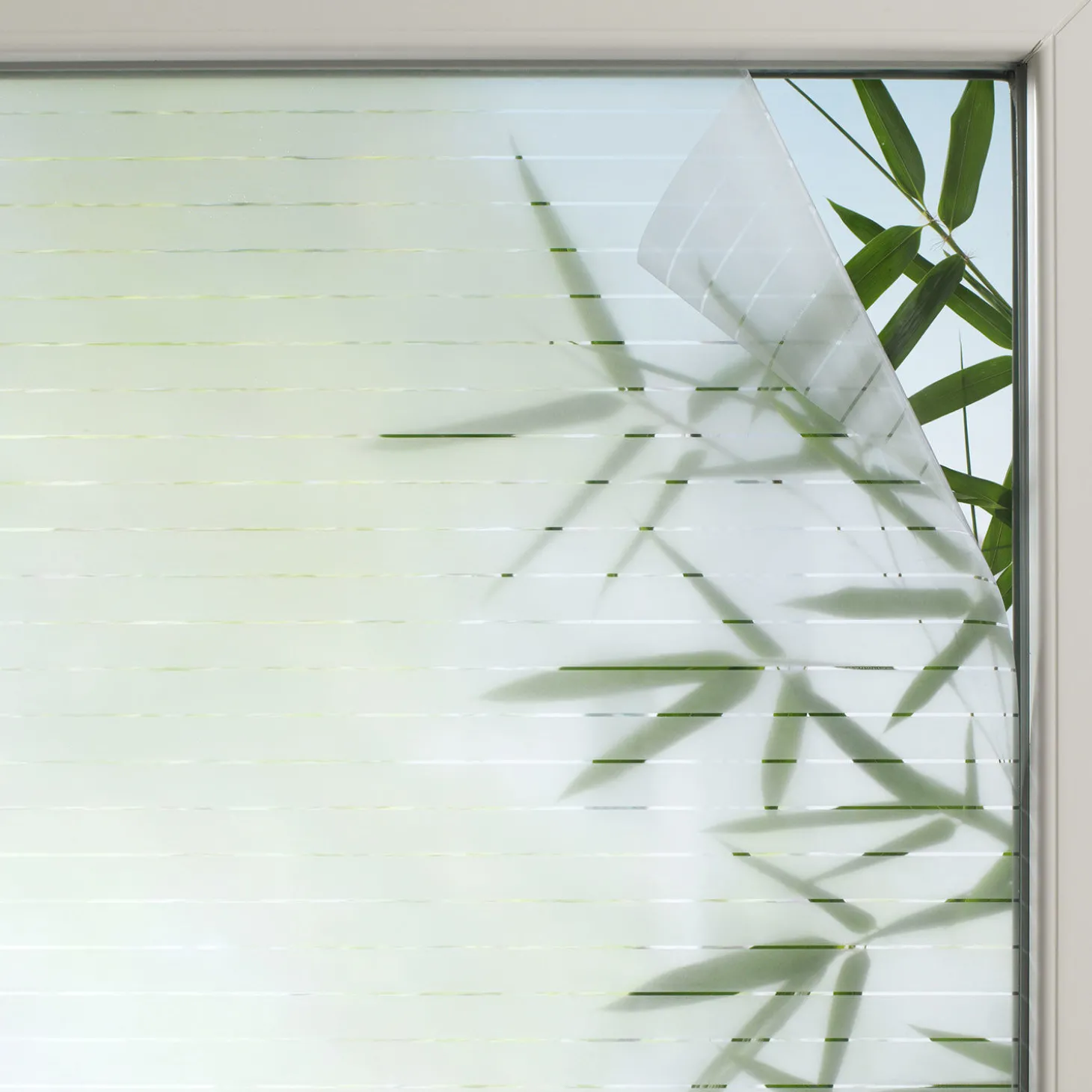 Statische Fensterfolie Line 25, semitransparent