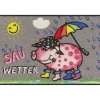 Türmatte Sau-Wetter