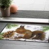 Türvorlage Eichhörnchen 50x75 cm