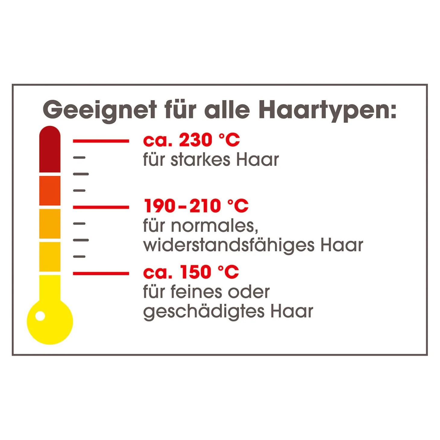 Vitalmaxx Hair Styler für Locken & Glatte Haare