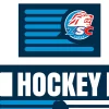 ZSC Lions Bettwäsche "Hockey Champion"